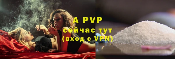 spice Верхний Тагил