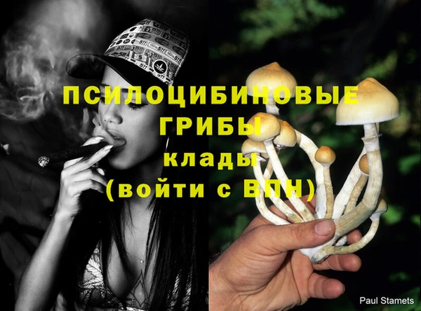 MESCALINE Верея