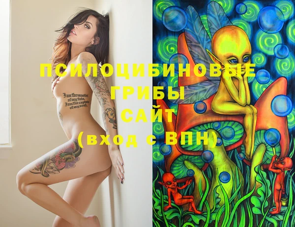 spice Верхний Тагил