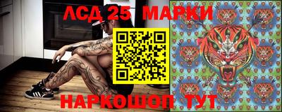 СК Канаш