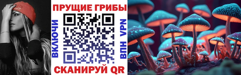 Галлюциногенные грибы мухоморы  Вологда 