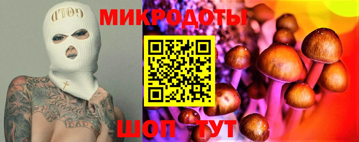 Псилоцибиновые грибы GOLDEN TEACHER Вологда