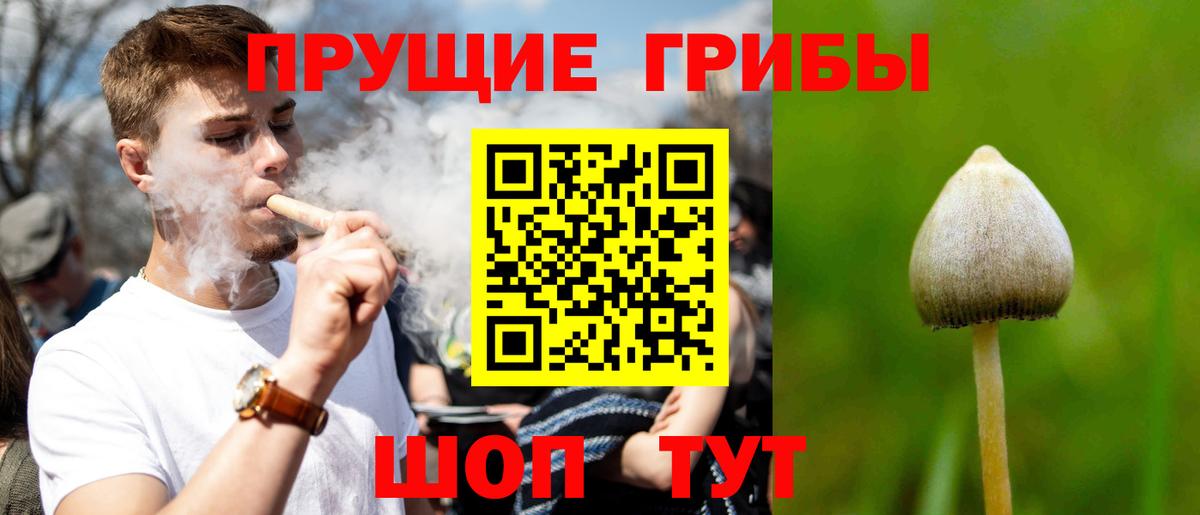 Псилоцибиновые грибы Magic Shrooms  Вход с VPN  Псилоцибиновые грибы Psilocybine cubensis  где купить   Вологда 